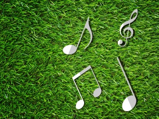 musik i gräset